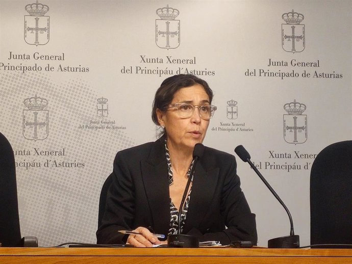 La portavoz del PSOE en la Junta General, Dolores Carcedo