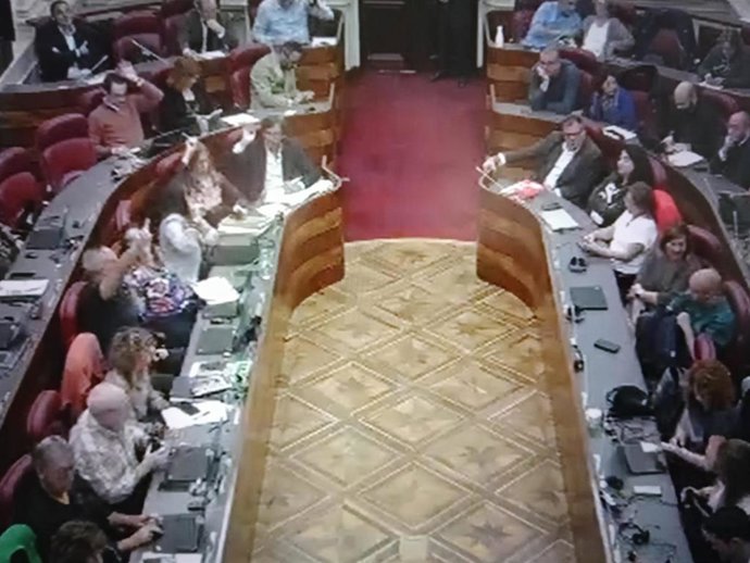 Votación en el pleno de las Juntas Generales de Álava