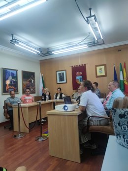 Pleno en el Ayuntamiento de Sayalonga.