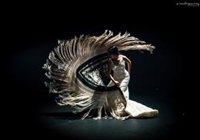 Tres espectáculos al aire libre en Sevilla para celebrar el Día Internacional del Flamenco