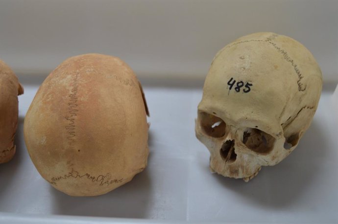 Cráneo de un aborigen de Fuerteventura
