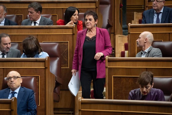 La portaveu d'EH Bildu al Congrés dels Diputats, Mertxe Aizpurua