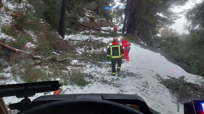 Archivo - Bomberos de Mallorca operando durante la borrasca Juliette.
