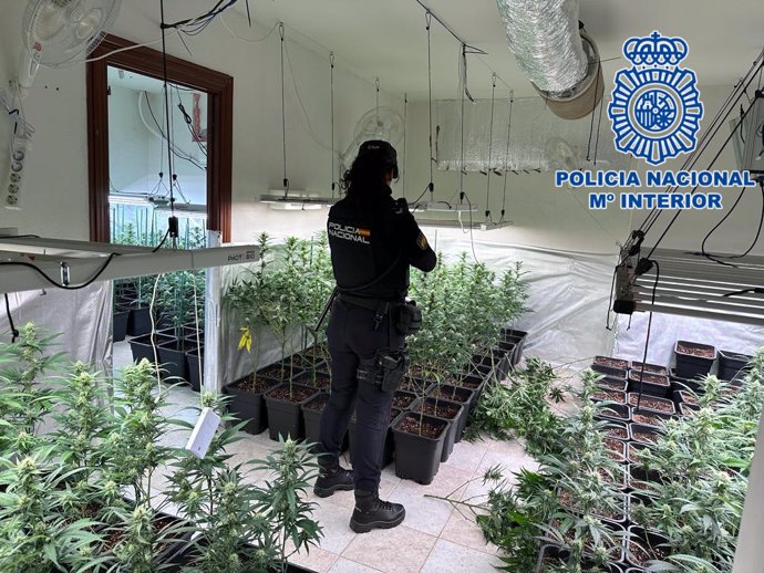 Nota De Prensa: La Policía Nacional Desmantela Un Laboratorio Clandestino De Marihuana En Bargas (Toledo)