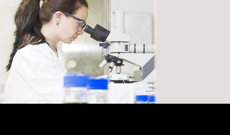 Comunicados Internacional