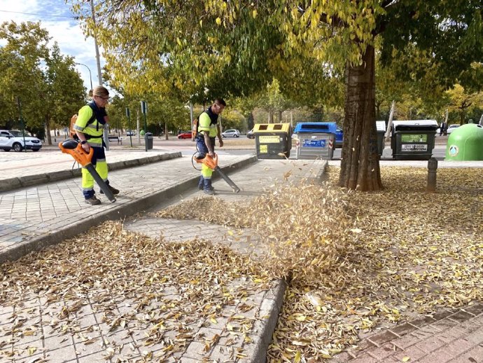 Recogida de hojas por el otoño