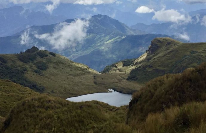 Los pastizales de la región andina peruana