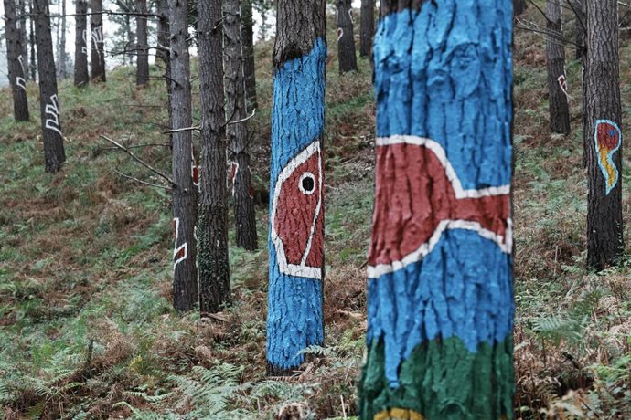 Dibujos pintados en árboles el día de reapertura del Bosque de Oma, de Agustín Ibarrola, a 27 de octubre de 2023, en Kortezubi, Vizcaya, País Vasco (España).