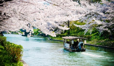 Comunicados Sociedad