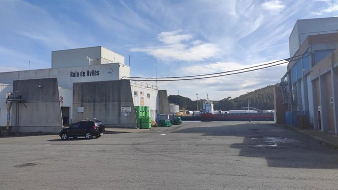 Archivo - Lonja de pescado, Rula de Avilés