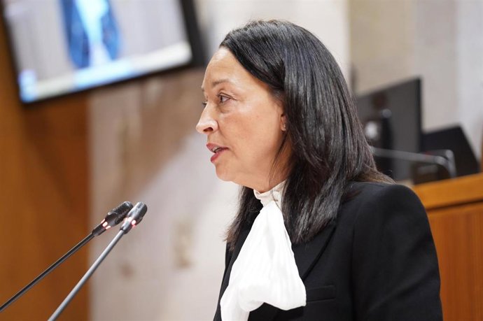 La consejera de Bienestar Social y Familia del Gobierno de Aragón, Carmen Susín.
