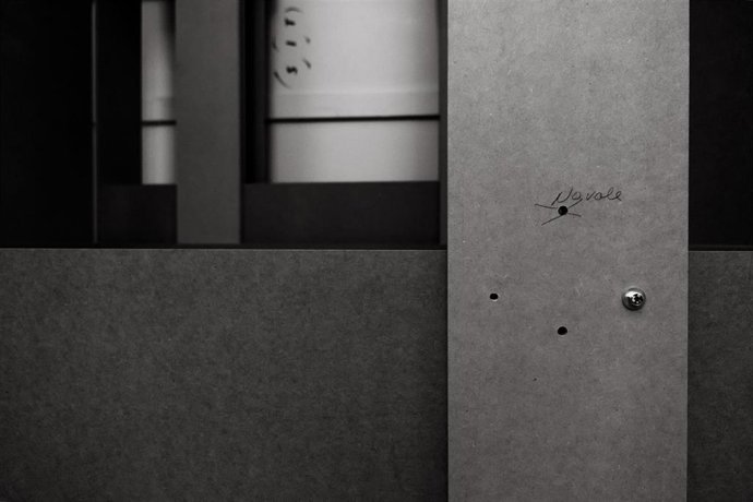 El Museo de Bellas Artes cuenta con un nuevo proyecto de la artista asturiana Irma Álvarez-Laviada