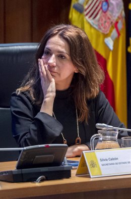 Archivo - Imagen de archivo de la secretaria de Estado de Sanidad, Silvia Calzón.