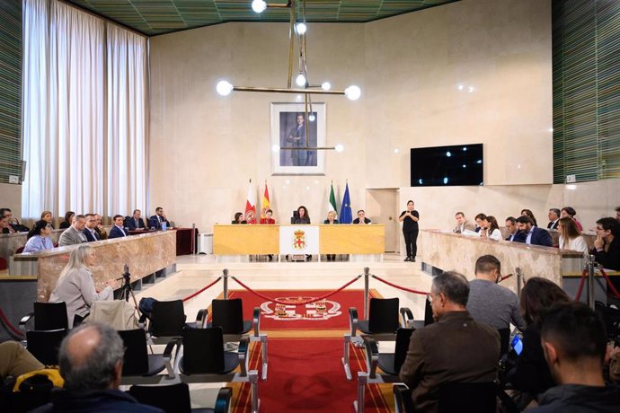 Pleno extraordinario y urgente en el Ayuntamiento de Almería