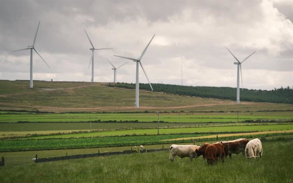 Archivo - Parque eólico Baillie de la compañía Statkraft en Escocia.