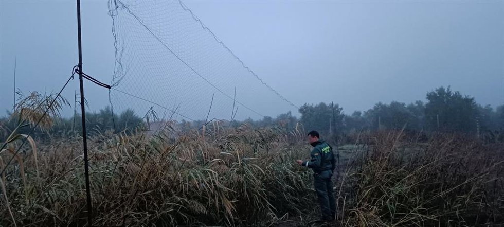 El Seprona de Montoro (Córdoba) investiga a dos personas por cazar con artes prohibidas