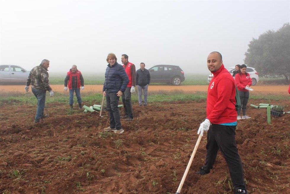 Un total de 70 voluntarios plantan una hectárea de árboles en La Atalaya de Ciudad Real
