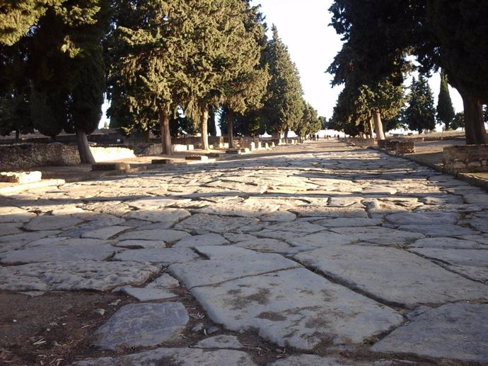 Archivo - Imagen del cardo máximo de Itálica, en Santiponce