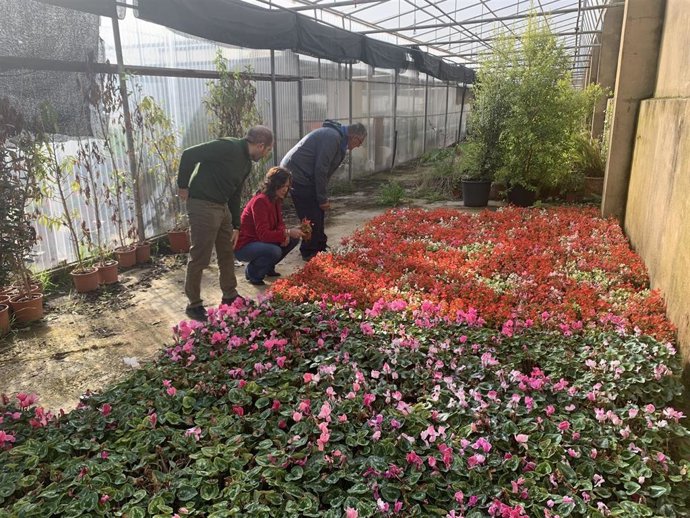 Ayuntamiento de Huelva apuesta por el vivero municipal para producir plantas que cubran espacios verdes de los barrios