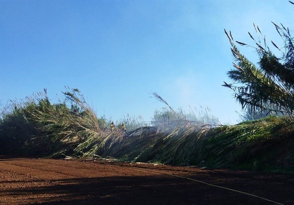Efectivos del Ibanat trabajan en el incendio forestal declarado en el Torrent de Sant Miquel