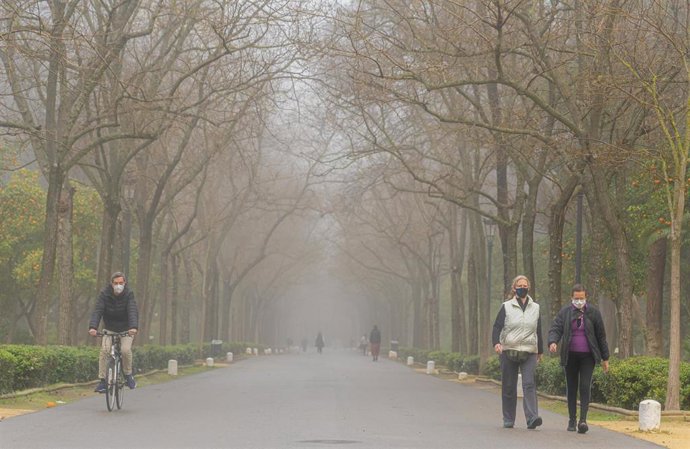 Archivo -  En la imagen paseantes y deportistas por el Parque de María Luisa, en Sevilla, en un día de niebla.