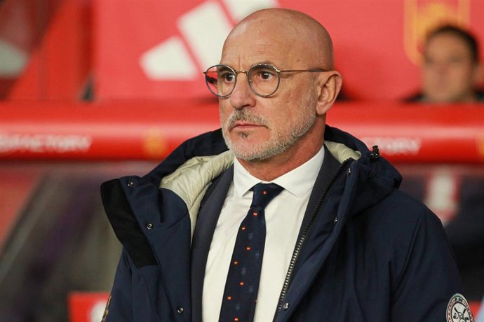 Luis de la Fuente durante el España-Georgia de la fase de clasificación de la EURO 2024