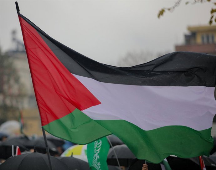 November 19, 2023: Gaziantep, Turkiye. 19 November 2023. Hundreds of people weaving the Palestinian flag gather in Gaziantep in support of Palestinians and of Hamas' recent Al-Aqsa Flood operation. A Hamas senior official, Majid Abu Hasan, joined the de
