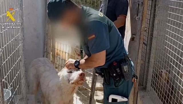 Agente de la Guardia Civil en la operación que ha destapado la mutilación de más de 1.000 perros en varias provincias andaluzas.