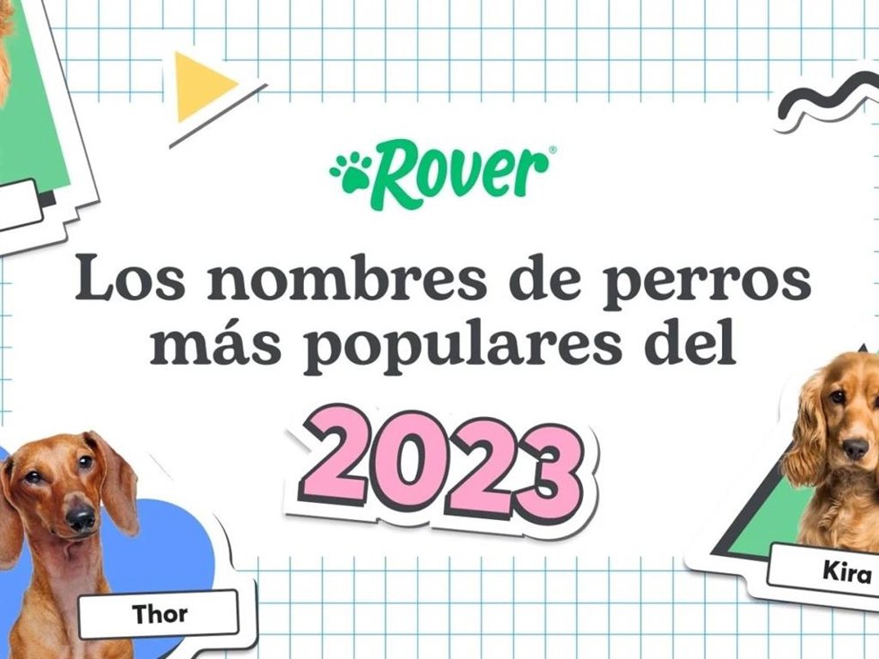 El fenómeno Barbie llega al mundo de los nombres de perro: Alan y Ken son tendencia en 2023