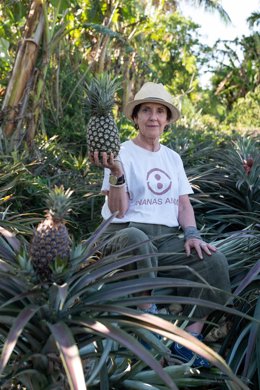 Archivo - Carmen Hijosa