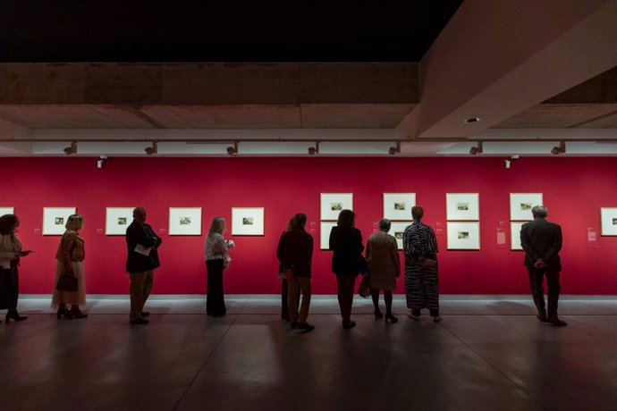 Abre al público en el Mirador del Carmen de Estepona la muestra 'Goya. Desastres de la Guerra'