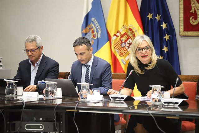 La consejera de Sanidad del Gobierno de Canarias, Esther Monzón, ha presentado hoy lunes en comisión parlamentaria el presupuesto de su departamento