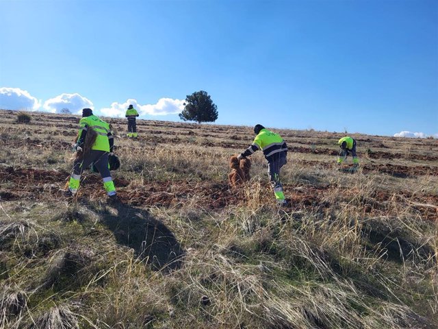 Doce personas de UNEI, la mayoría con discapacidad, inicia este mes la campaña de plantaciones en el Anillo Verde de Granada.