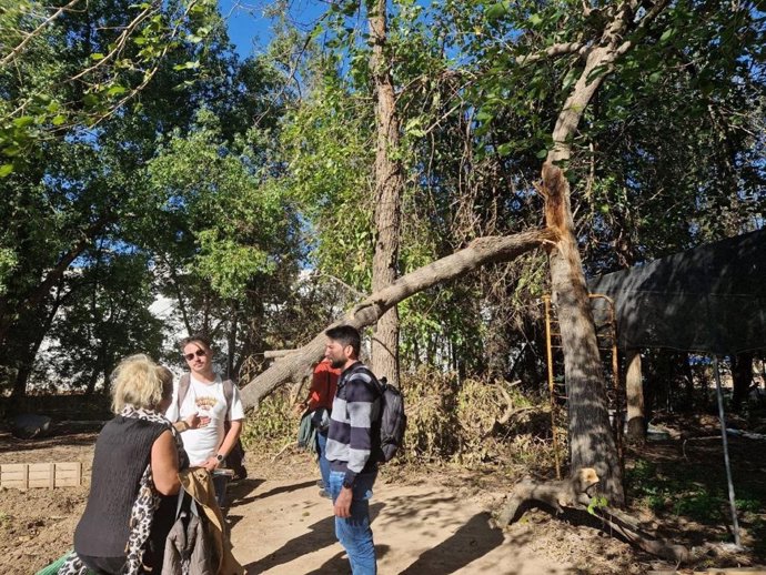 El portavoz adjunto de Podemos-IU, Ismael Sánchez, critica el "abandono" del parque San Jerónimo.