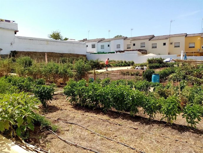 Alcalá de Guadaíra abre el plazo para solicitar los huertos urbanos ecológicos hasta el 13 de diciembre.