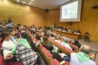 La Diputación de Granada anuncia la creación de una Consejo Provincial de la Infancia