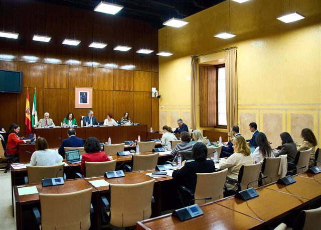 Reunión de la comisión de Inclusión Social, Juventud, Familias e Igualdad en el Parlamento andaluz, con una comparecencia de la consejera del ramo, Loles López. (Foto de archivo).