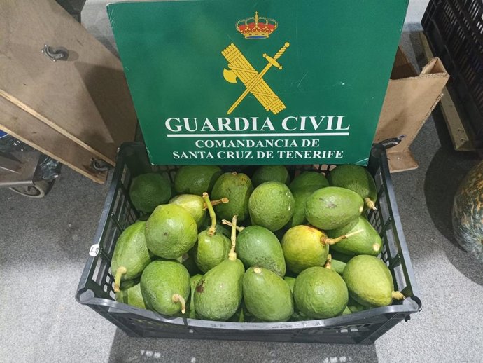 Agentes de la Guardia Civil han intervenido casi 207 kilos de aguacates y papayas comercializados ilegalmente en Tenerife. La fruta incautada estaba siendo vendida de forma ilegal, ya que sus propietarios no pudieron acreditar su lícita procedencia