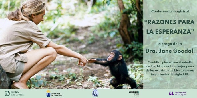 El Paraninfo de la ULL acoge este sábado a las 17.00 horas una conferencia magistral de la primatóloga Jane Goodall titulada 'Razones para la esperanza'