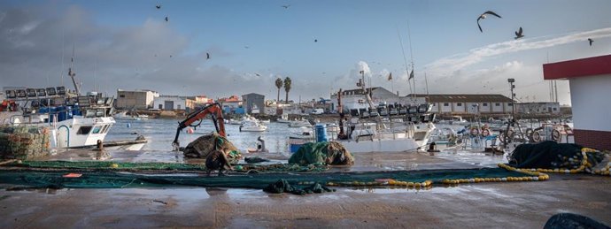 Imagen del puerto pesquero de Isla Cristina (Huelva).