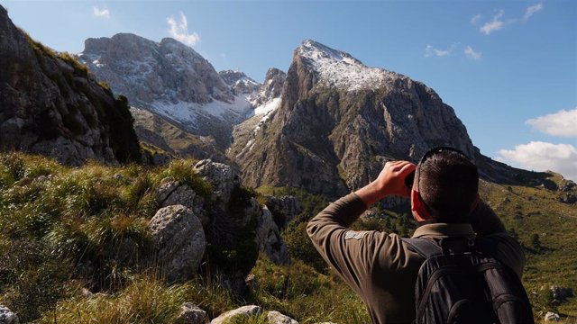 Archivo - Un agente de Medio Ambiente de Baleares mira con unos prismáticos hacia las montañas nevadas de la Serra.