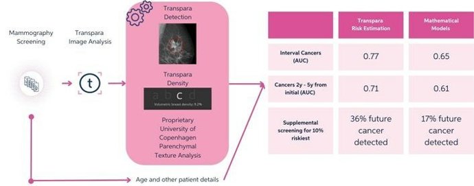 Lauritzen et al Radiology August 2023 summary results