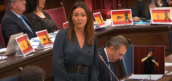 Carteles en los escaños de los diputados de Vox en contra de la amnistía.