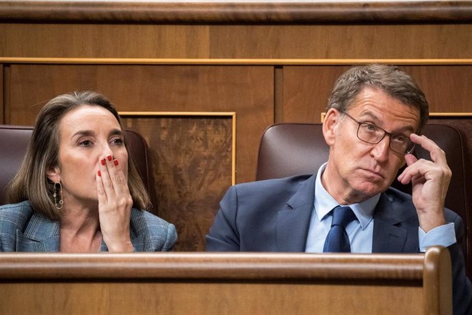 La secretaria general del PP, Cuca Gamarra, y el presidente del Partido Popular, Alberto Núñez Feijóo, durante la primera sesión del debate de investidura de Pedro Sánchez como presidente de Gobierno, en el Congreso de los Diputados, a 15 de noviembre d