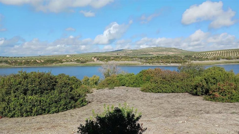 La laguna de Zóñar.