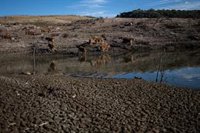 Los embalses de las cuencas internas catalanas siguen a la baja y se sitúan al 18,45%