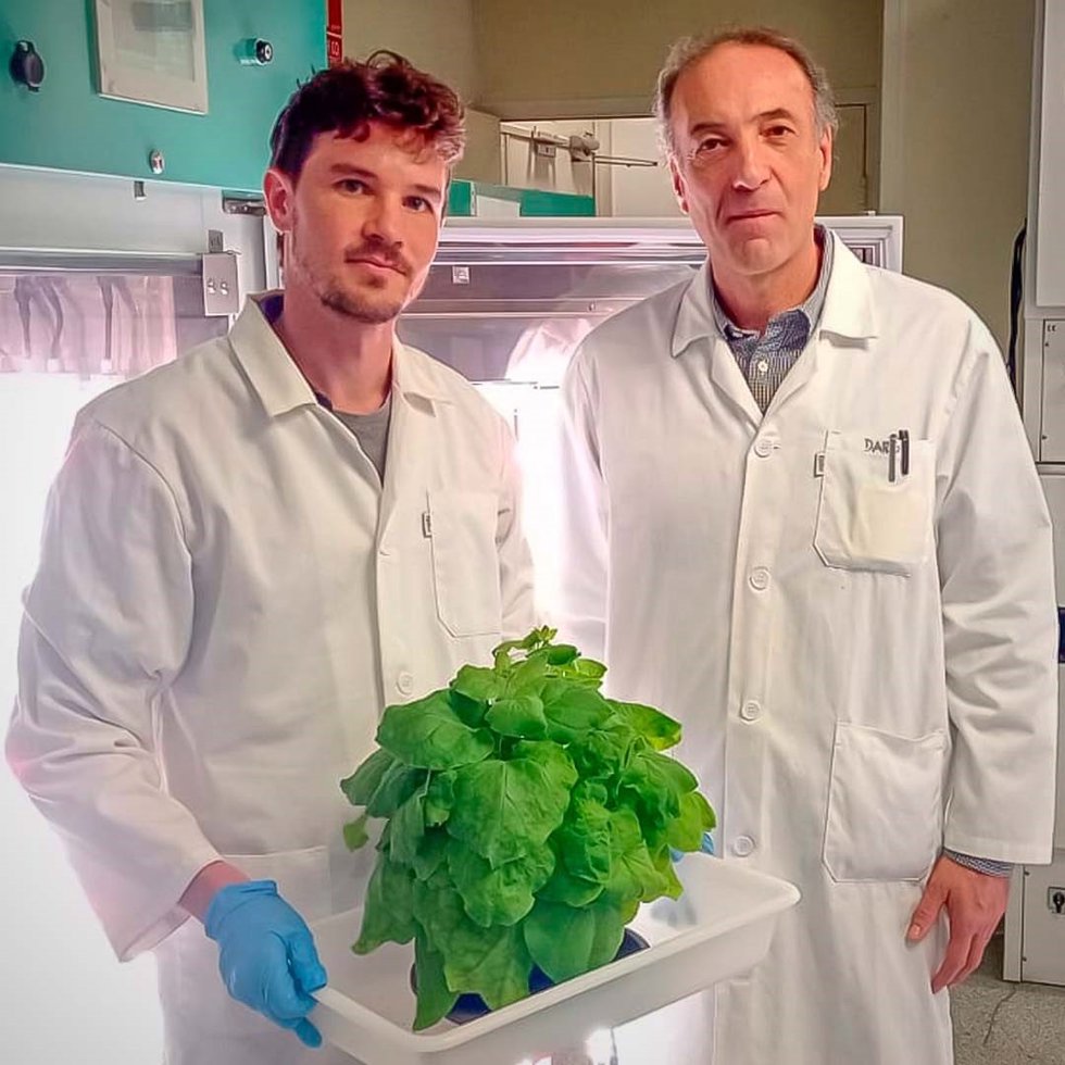 Investigadores con el nuevo proyecto de CSIC