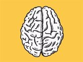 Foto: Los cambios sutiles en el habla predicen el deterioro cognitivo relacionado con el Alzheimer, según la ADDF