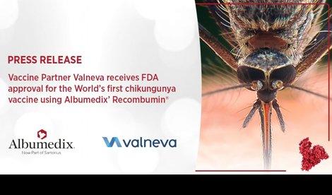 Comunicados Internacional