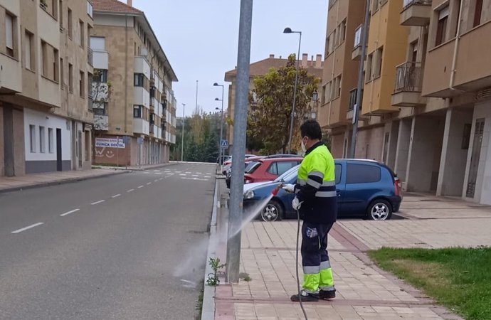 Un operario limpia una farola afectada por los orines de los perros.